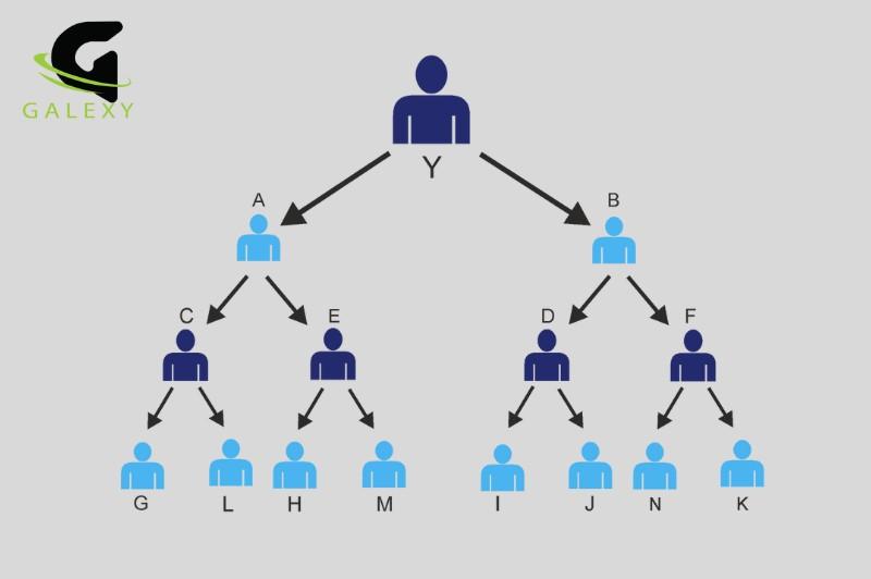 Binary plan concept showing left and right team structure in MLM network by Galexy IT Solutions Bareilly